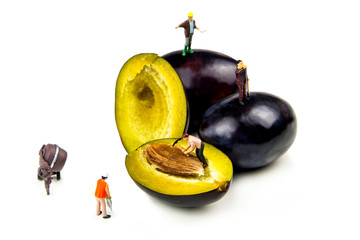 let's have tasty and fruity plums