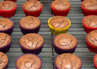 Chocolate cupcakes cooling on wire rack