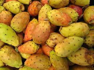 Indian figs