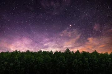Rolgordijnen tree and night sky © sitthipong
