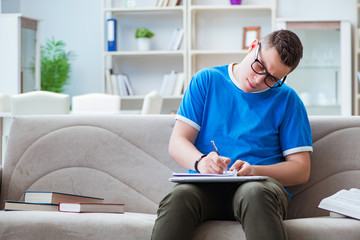 Young student preparing for exams studying at home on a sofa