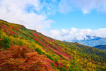銀泉台 赤岳登山道から見る紅葉
