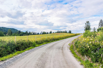 small road with wild flower in spring at sweden countryside 