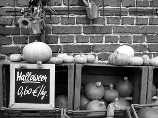 Verkaufsstand für Kürbisse vor Halloween im Herbst auf einem Bauernhof in Lage bei Detmold in...