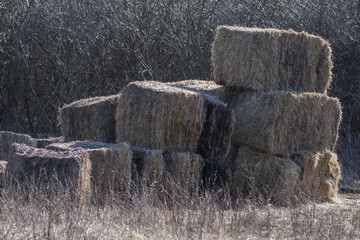 autumn in skåne
