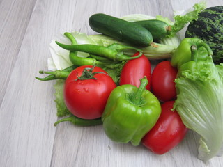 tomatoes,peppers,Gherkin,cucumber,lettuce .vegetables,
