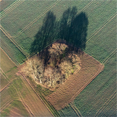 Vue aérienne de falaises dans la brume près des Andelys dans l'Eure en France