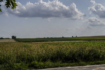 pola uprawne © wedrownik52