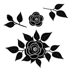 black rose silhouette on white background