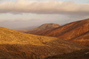 Fototapeta na wymiar Montana Cardon - Fuerteventura
