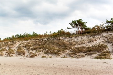 Baltic Sea Coast. Cold autumn morning on the beach. Soil erosion. Seashore.