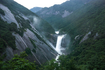 屋久島　千尋の滝