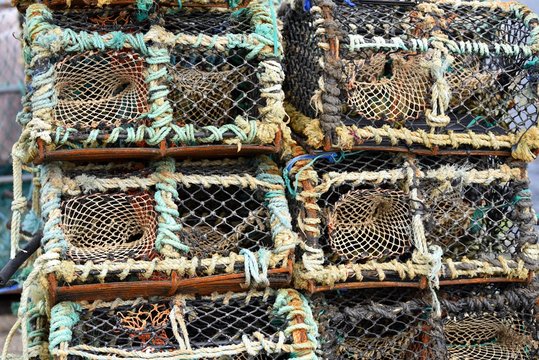 Klatki do połowu krab&oacute;w 