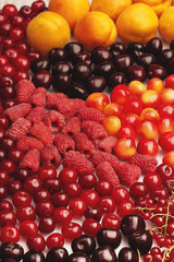 many different berries on a white table, apricots, currants, raspberries, cherry