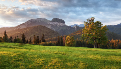 Obraz premium Sunrise landscape in mountain, Tatranska Javorina, Slovakia