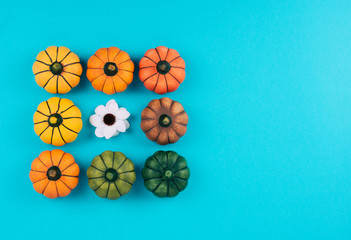 Decorative pumpkins on trendy blue background with fall leaves.