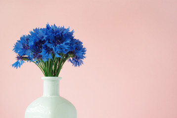 Bouquet of cornflowers in white vase in front of pale pink pastel background