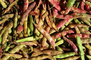 beans in the pod