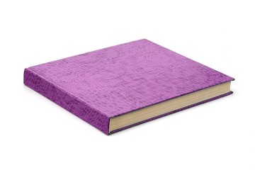Book isolated on white background