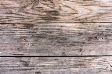 Fototapeta premium light wood texture for background