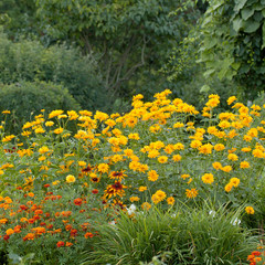 beautiful and well-kept summer park with blossom flowers and fluffy shrubs
