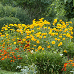 Obraz premium beautiful and well-kept summer park with blossom flowers and fluffy shrubs