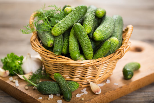 Fresh cucumbers in the basket