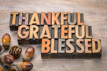 thankful, grateful, blessed - Thanksgiving theme