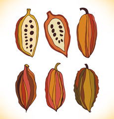 Vector set with drawn isolated cocao beans. Beauty collection with decorative silhouettes of chocolate cocoa beans