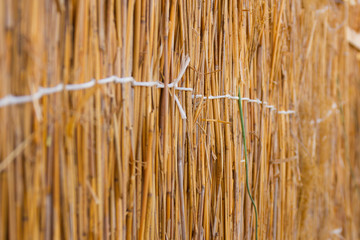 Wicker fence of reeds