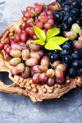 Naklejka na ściany i meble autumn ripe grapes