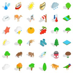 Camel icons set, isometric style