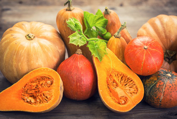 Fresh and colorful pumpkins and squashes  - obrazy, fototapety, plakaty