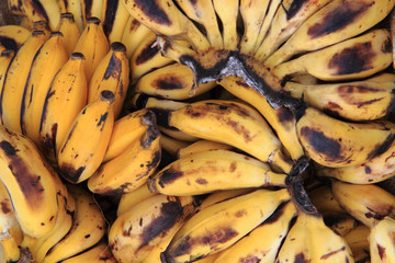 banana fruits from africa