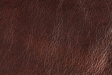 High resolution texture. Background. Skin.