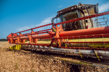 Combine harvester in action on wheat field. Process of gathering a ripe crop.