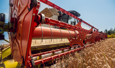 Combine harvester in action on wheat field. Process of gathering a ripe crop.