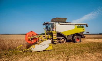 Combine harvester in action on wheat field. Process of gathering a ripe crop.
