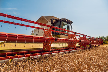 Combine harvester in action on wheat field. Process of gathering a ripe crop.