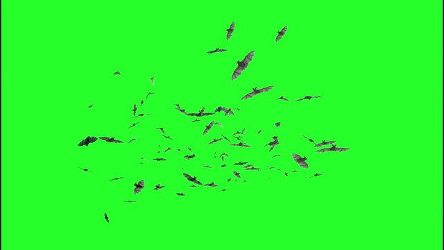 flock of bats on a green background 3D render