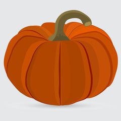 Halloween pumpkin on a white background
