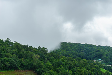 Obraz premium panorama dramatic view of valley with mist over the mountain and cloudy sky background in the morning, Mon Cham Valley, Chiangmai, Thailand.