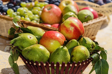 fruit basket on the farm