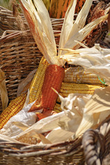 basket with corn