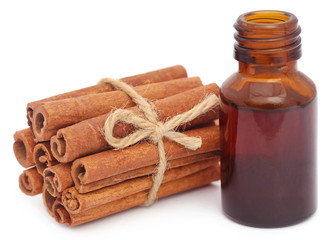 Bunch of some fresh aromatic cinnamon with essential oil