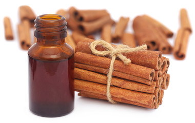 Bunch of some fresh aromatic cinnamon with essential oil
