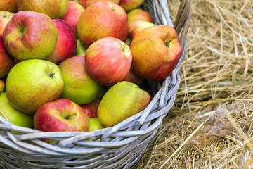fresh apples laying in the basket on hew
