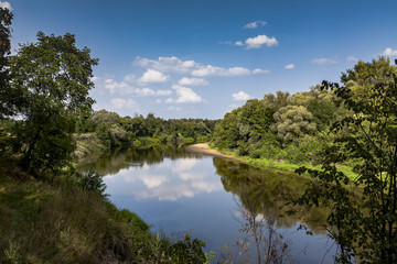 Fototapeta na wymiar A small river in summer