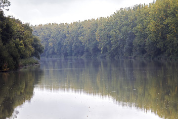 Bords de Loire, nature, ciel, oiseux