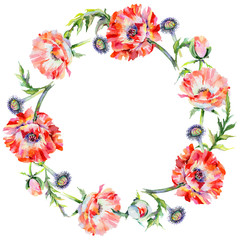 Wildflower poppy flower wreath in a watercolor style. Full name of the plant: red poppy. Aquarelle wild flower for background, texture, wrapper pattern, frame or border.